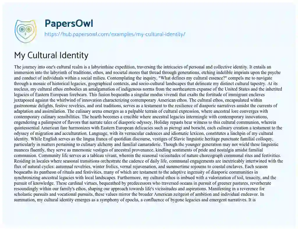 Essay on My Cultural Identity