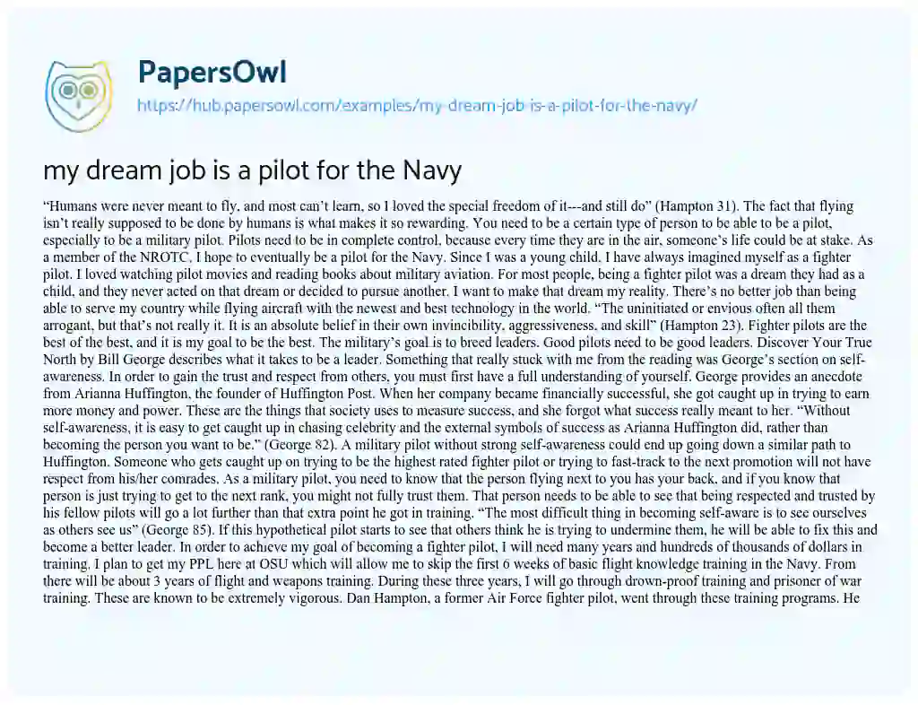 Essay on my dream job is a pilot for the Navy