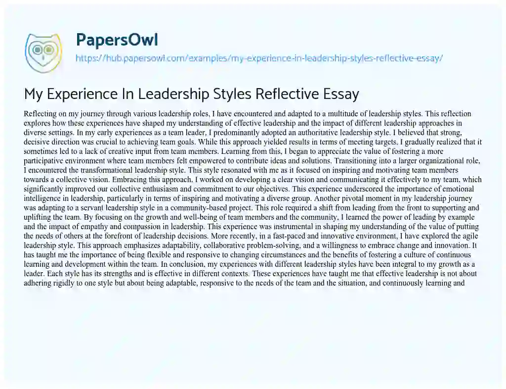 Essay on My Experience In Leadership Styles Reflective Essay