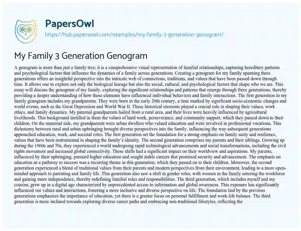 Essay on My Family 3 Generation Genogram