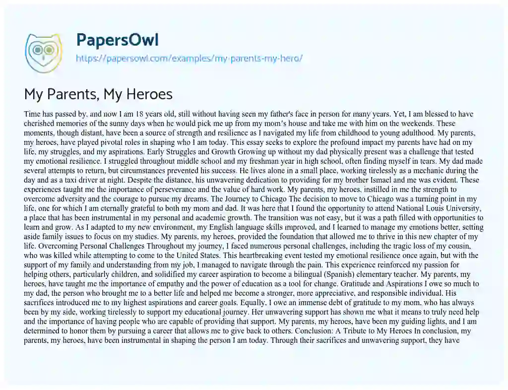Essay on My Parents, My Heroes