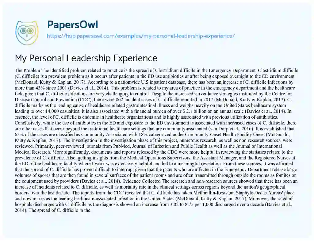 Essay on My Personal Leadership Experience