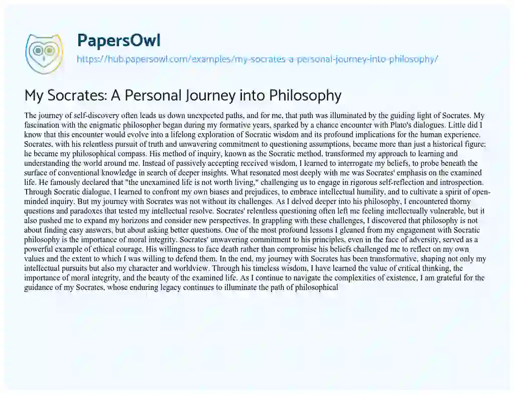 Essay on My Socrates: A Personal Journey into Philosophy