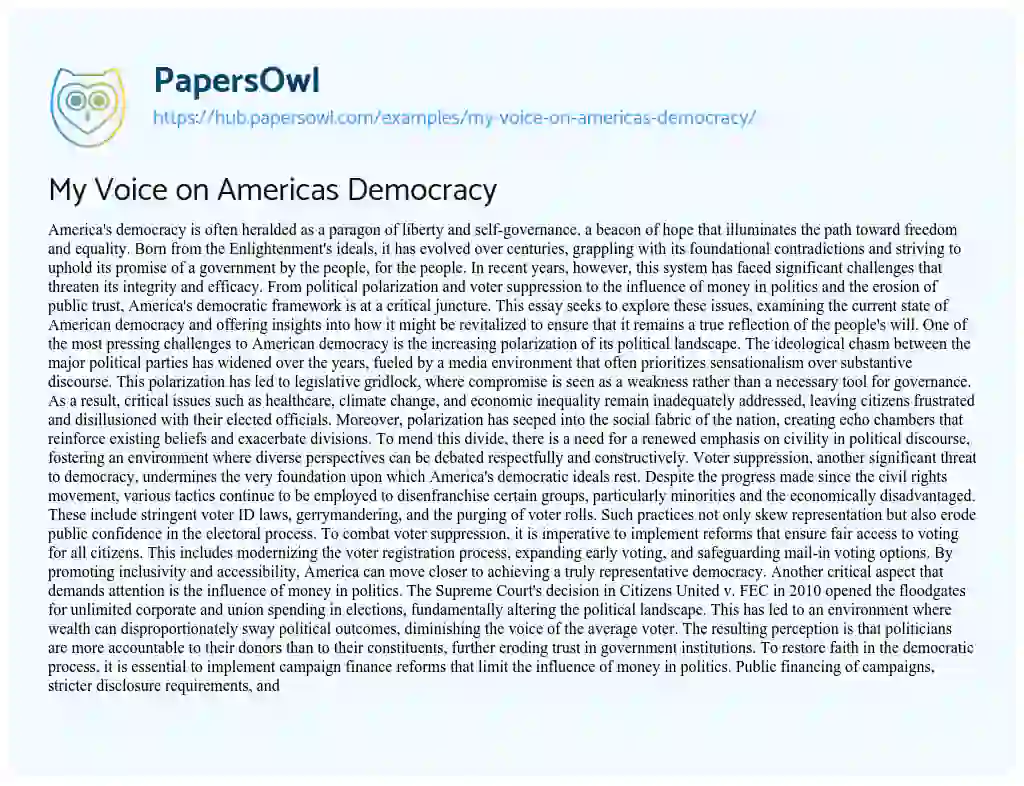 Essay on My Voice on Americas Democracy