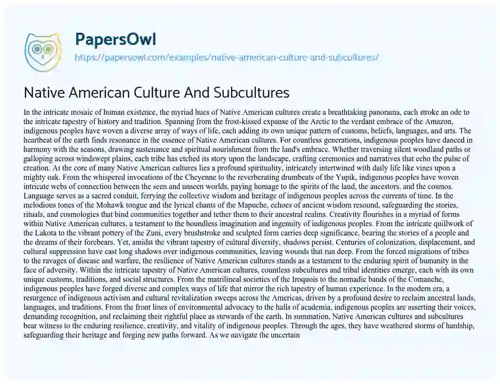 Essay on Native American Culture And Subcultures