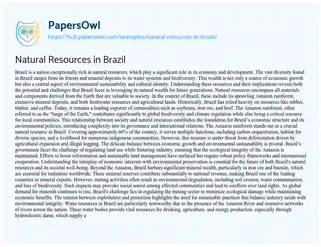 Essay on Natural Resources in Brazil
