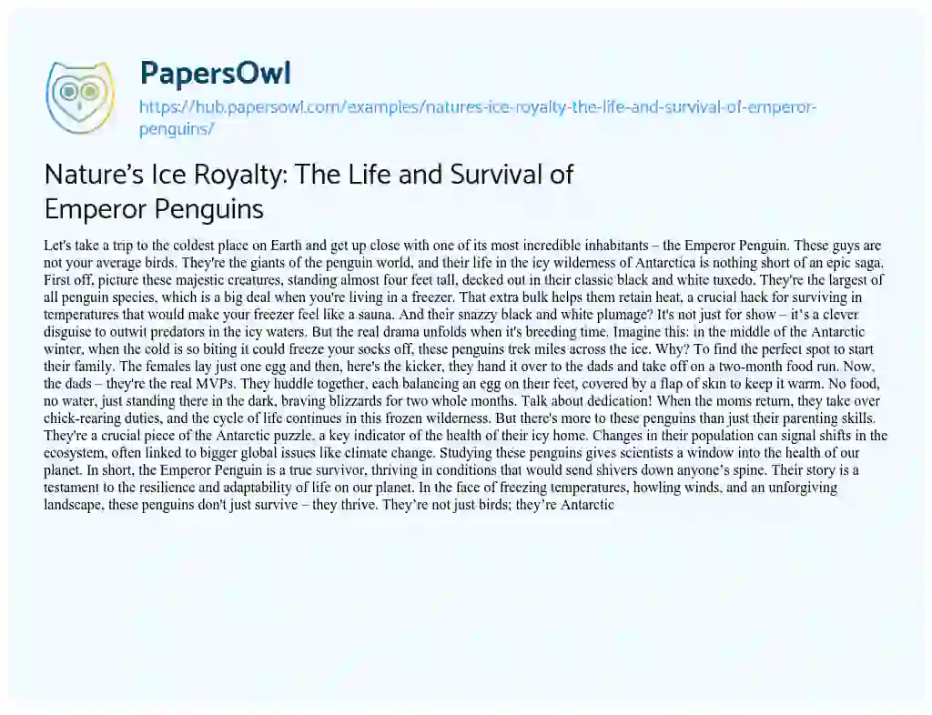 Essay on Nature’s Ice Royalty: The Life and Survival of Emperor Penguins