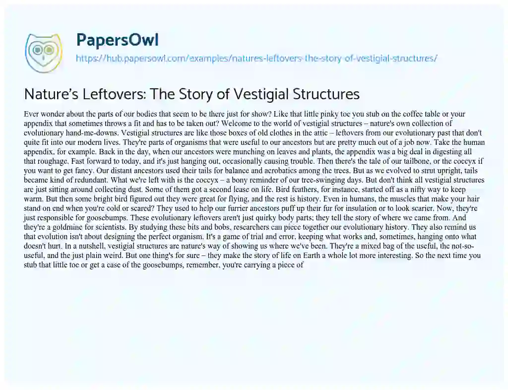 Essay on Nature’s Leftovers: The Story of Vestigial Structures