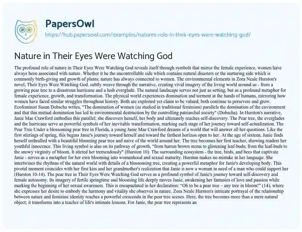 Essay on Nature in Their Eyes Were Watching God