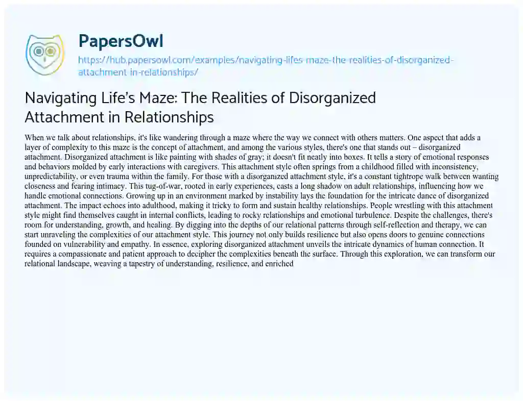 Essay on Navigating Life’s Maze: The Realities of Disorganized Attachment in Relationships