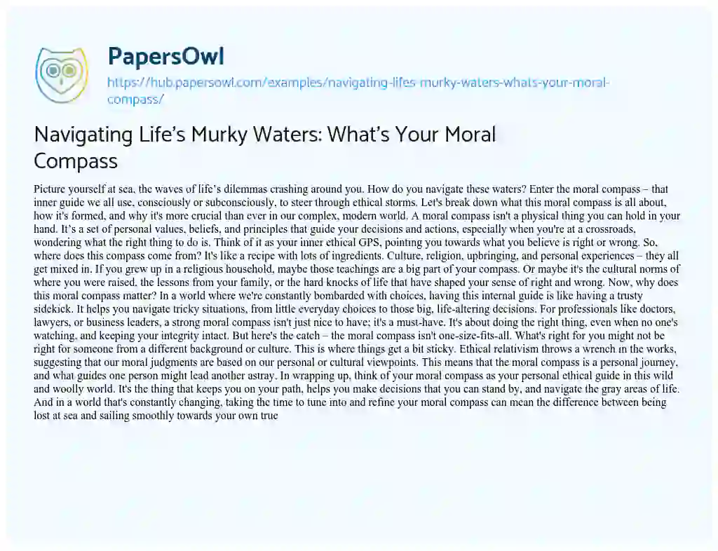 Essay on Navigating Life’s Murky Waters: What’s Your Moral Compass