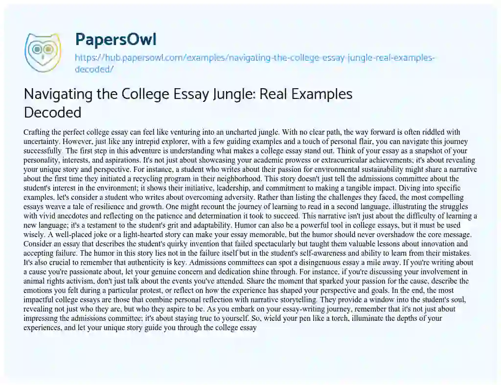 Essay on Navigating the College Essay Jungle: Real Examples Decoded