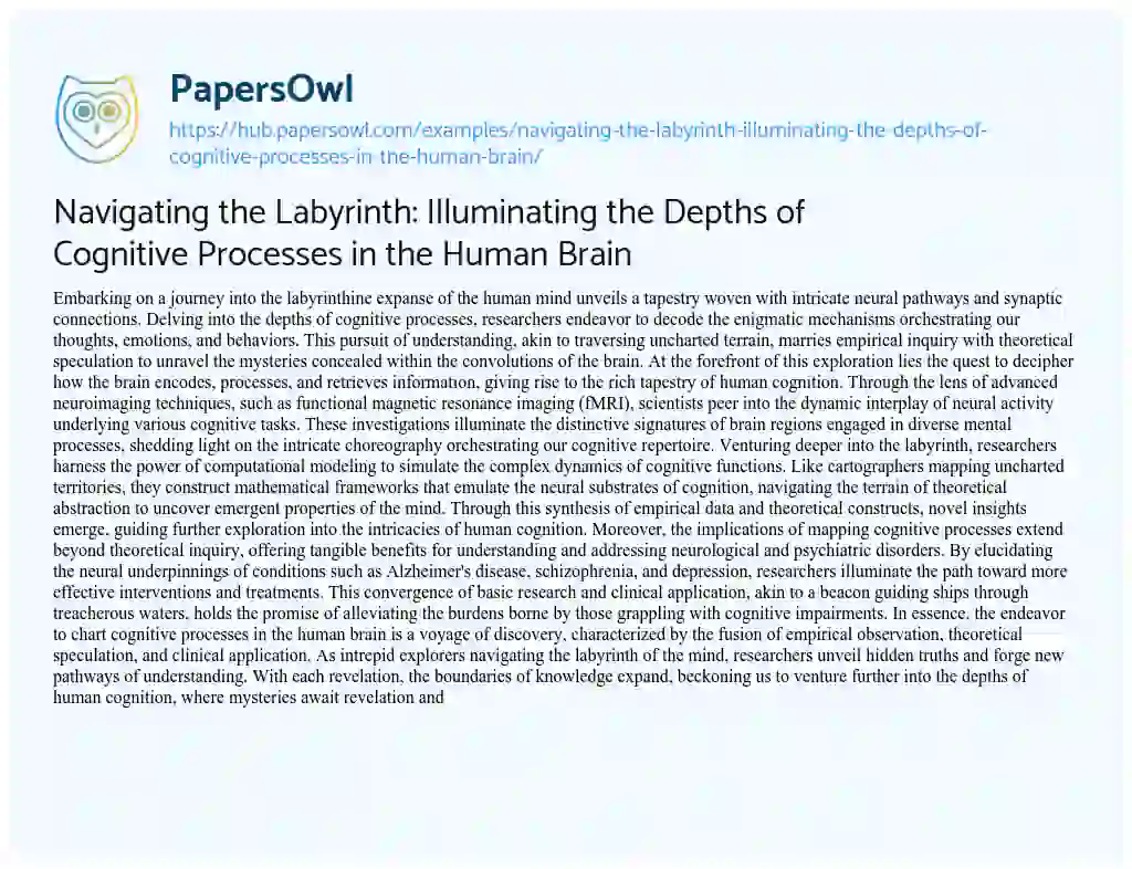 Essay on Navigating the Labyrinth: Illuminating the Depths of Cognitive Processes in the Human Brain