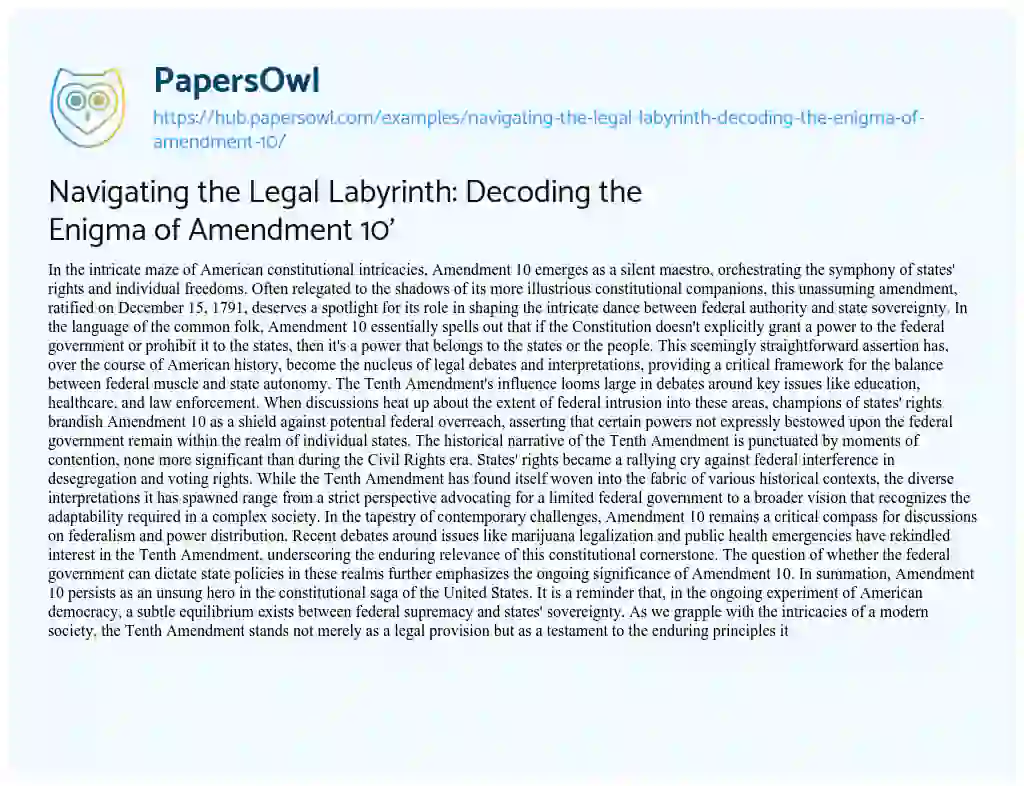 Essay on Navigating the Legal Labyrinth: Decoding the Enigma of Amendment 10′