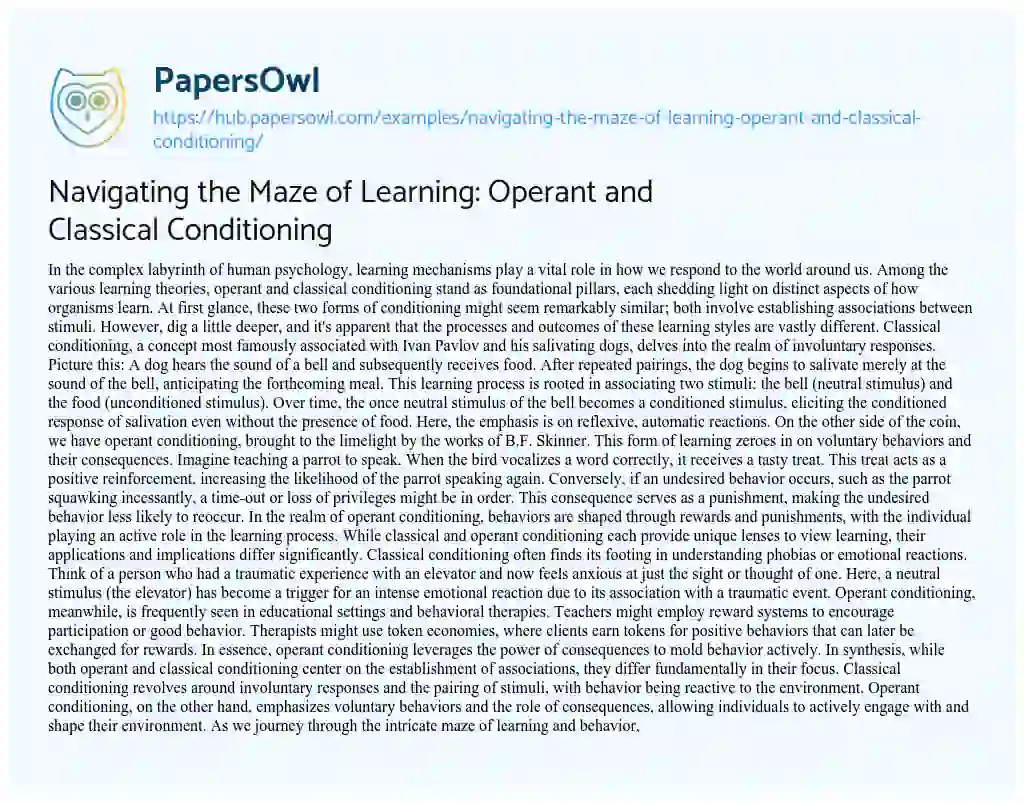 Essay on Navigating the Maze of Learning: Operant and Classical Conditioning