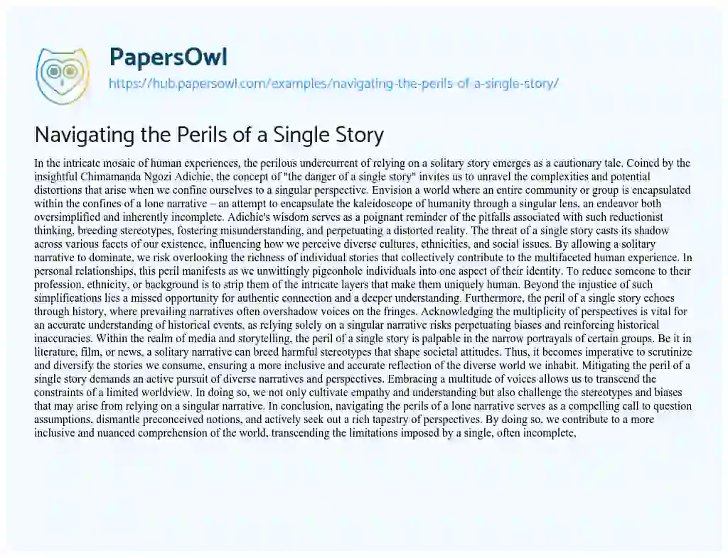 Essay on Navigating the Perils of a Single Story
