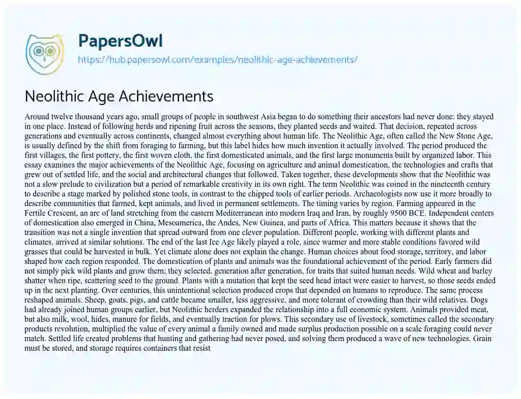 Essay on Neolithic Age Achievements