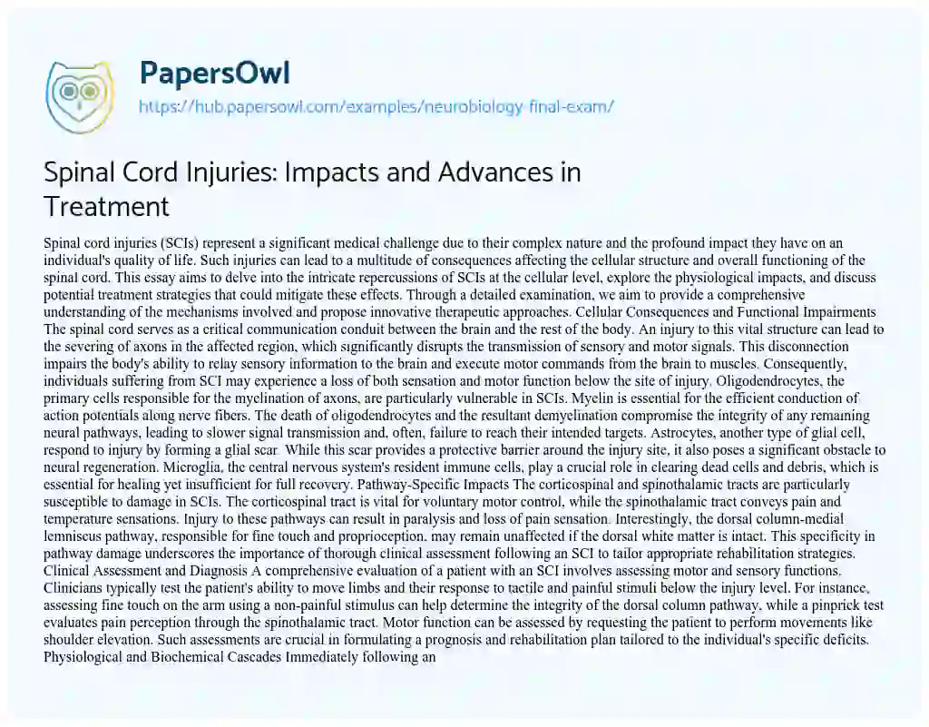 Essay on Spinal Cord Injuries: Impacts and Advances in Treatment