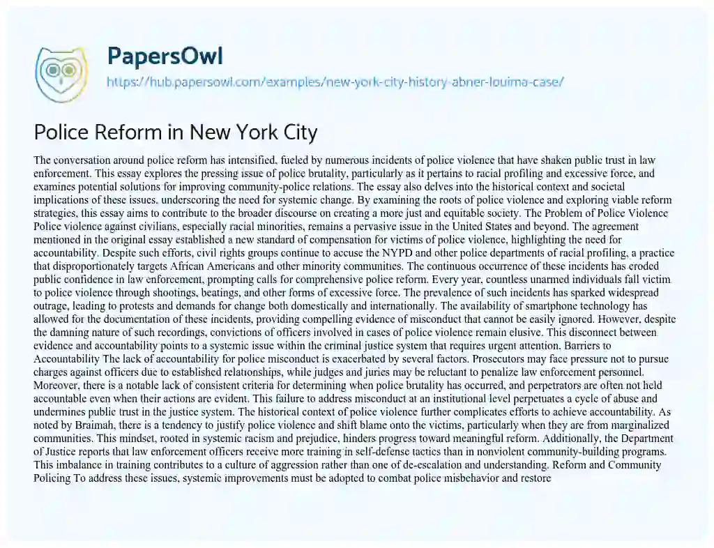 Essay on Police Reform in New York City