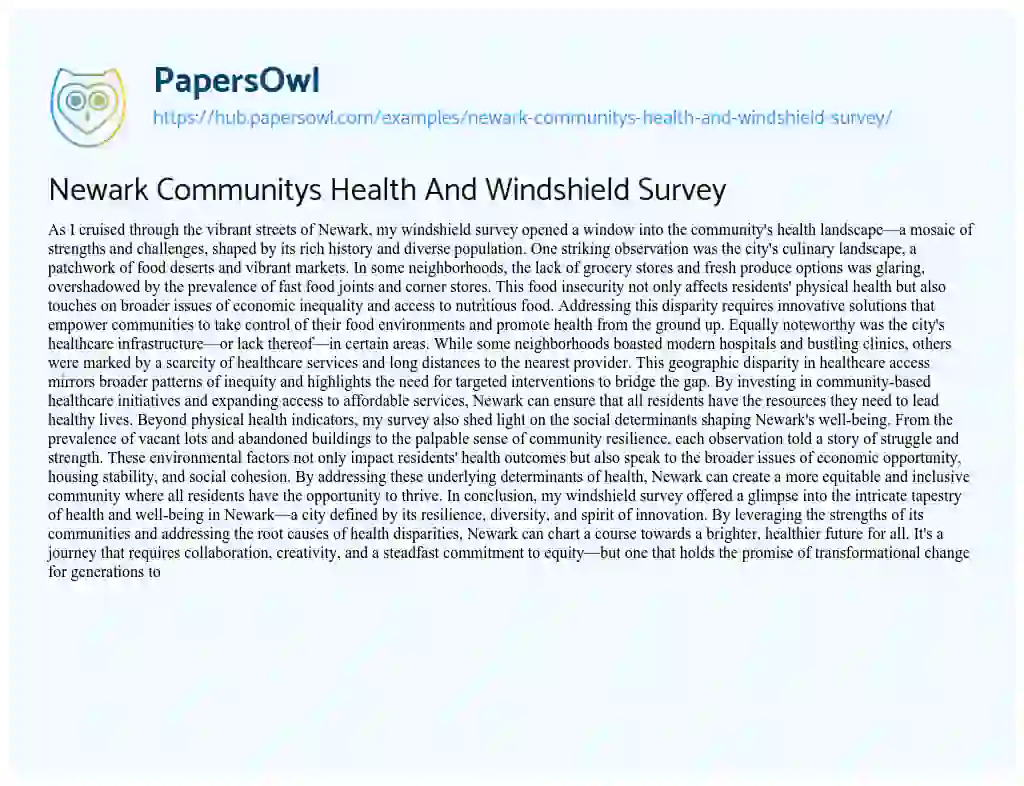 Essay on Newark Communitys Health And Windshield Survey