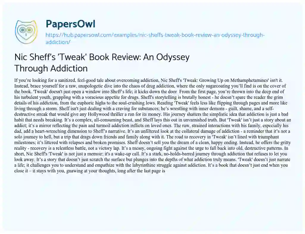 Essay on Nic Sheff’s ‘Tweak’ Book Review: An Odyssey Through Addiction