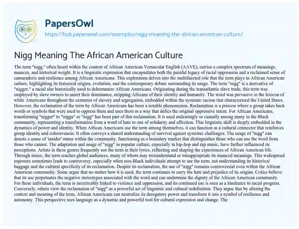 Essay on Nigg Meaning The African American Culture
