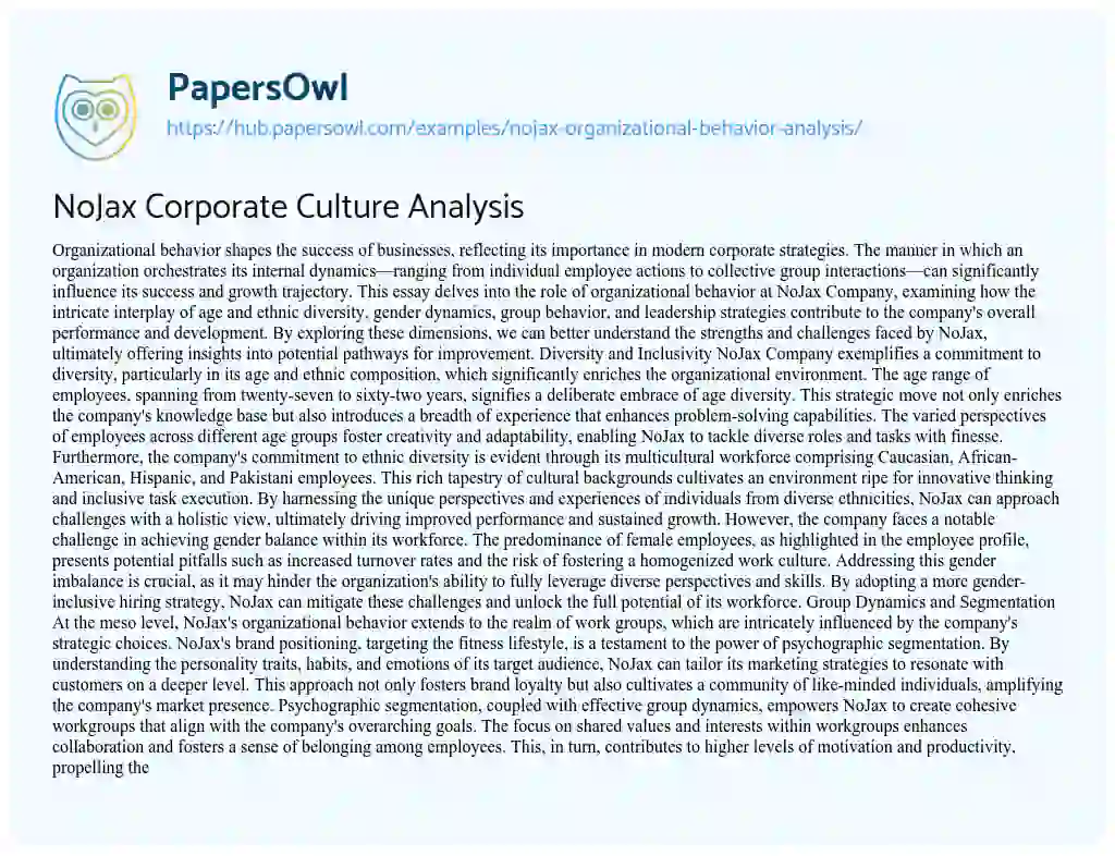 Essay on NoJax Corporate Culture Analysis