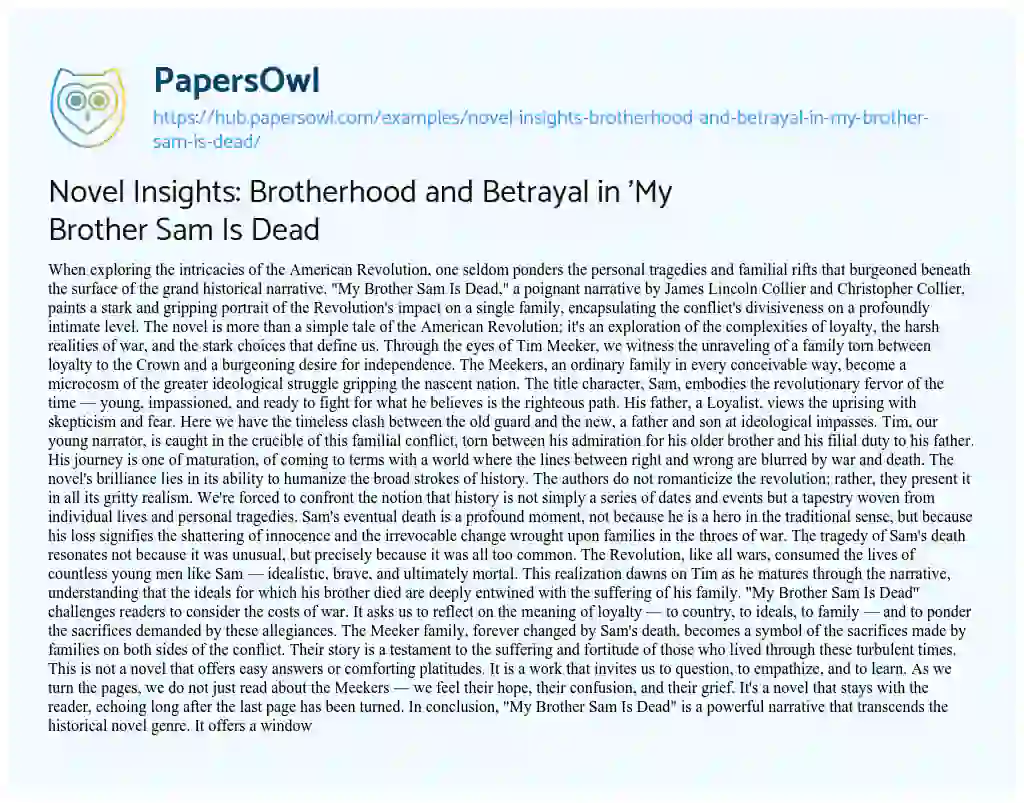 Essay on Novel Insights: Brotherhood and Betrayal in ‘My Brother Sam Is Dead