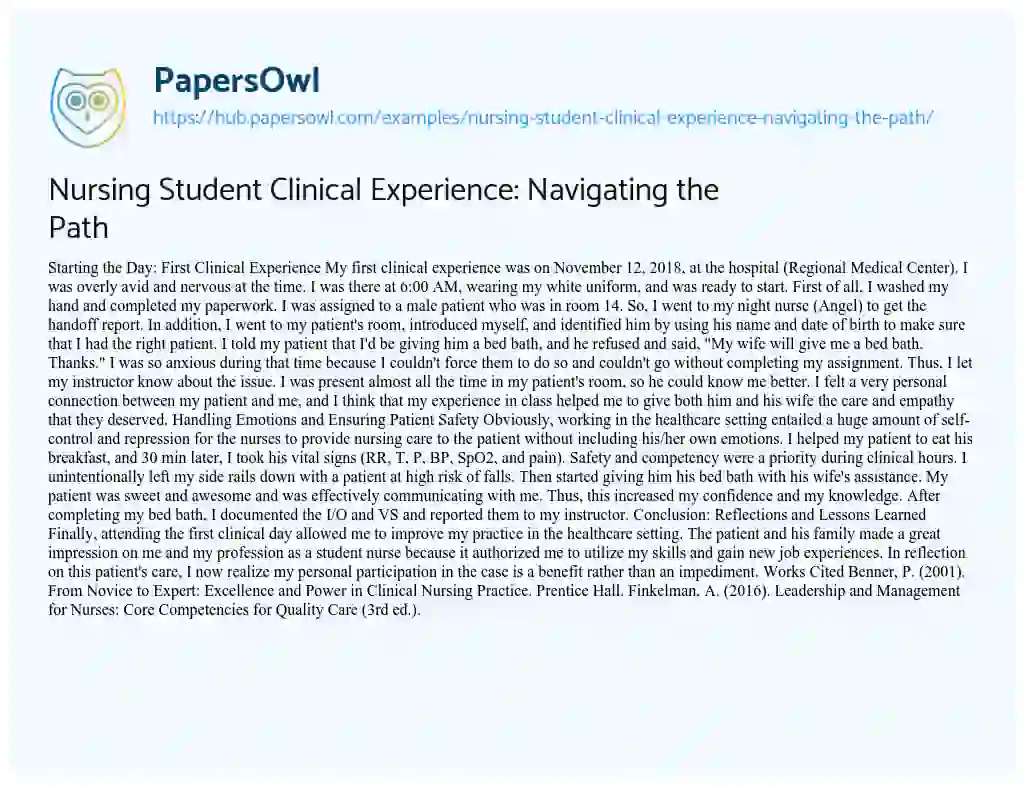 Essay on Nursing Student Clinical Experience: Navigating the Path