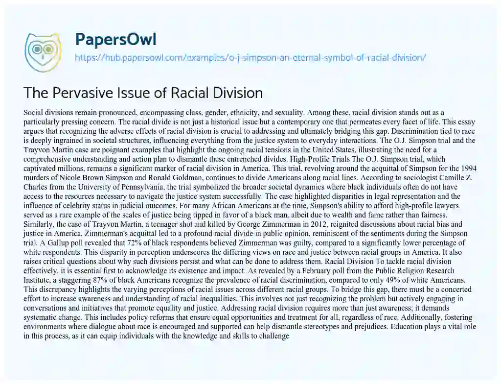 Essay on The Pervasive Issue of Racial Division