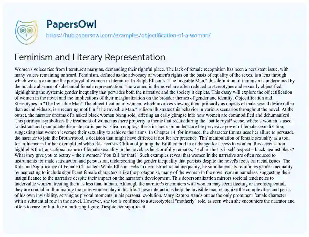 Essay on Feminism and Literary Representation