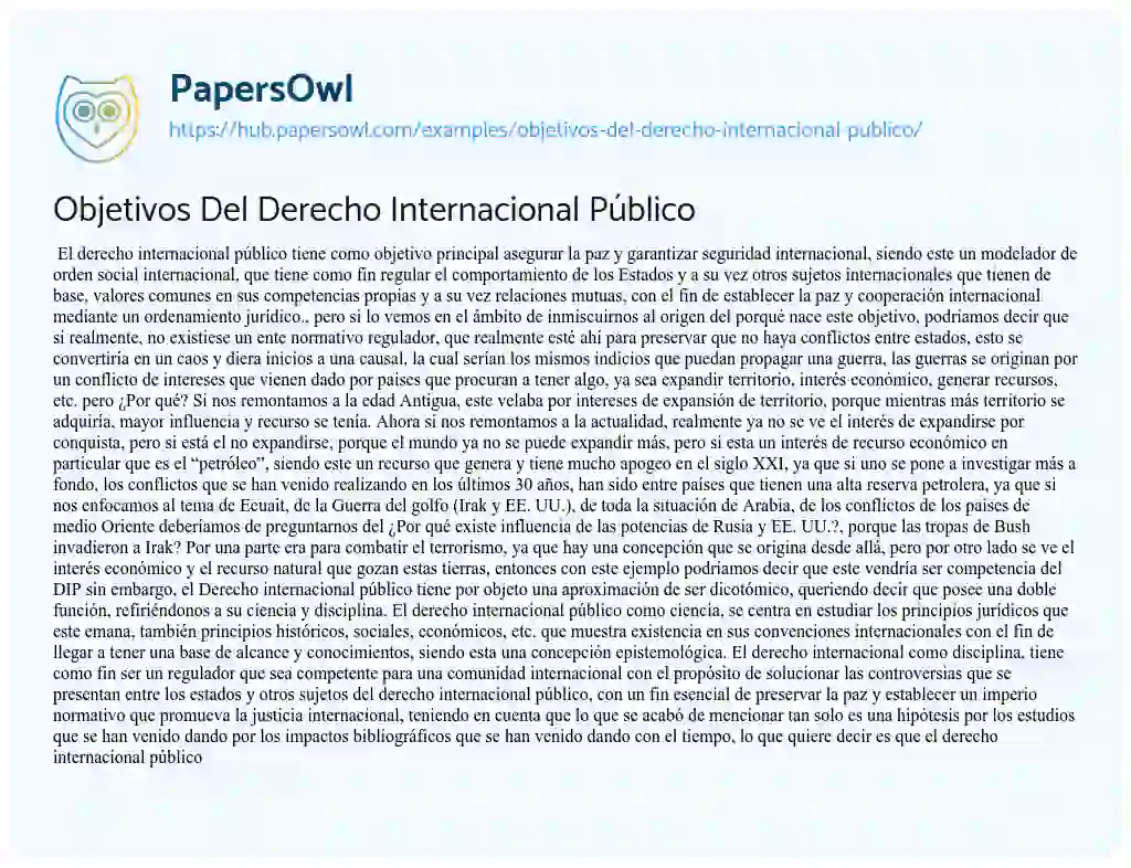 Essay on Objetivos Del Derecho Internacional Público