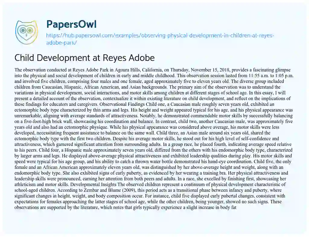Essay on Child Development at Reyes Adobe
