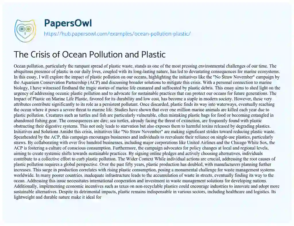 Essay on The Crisis of Ocean Pollution and Plastic