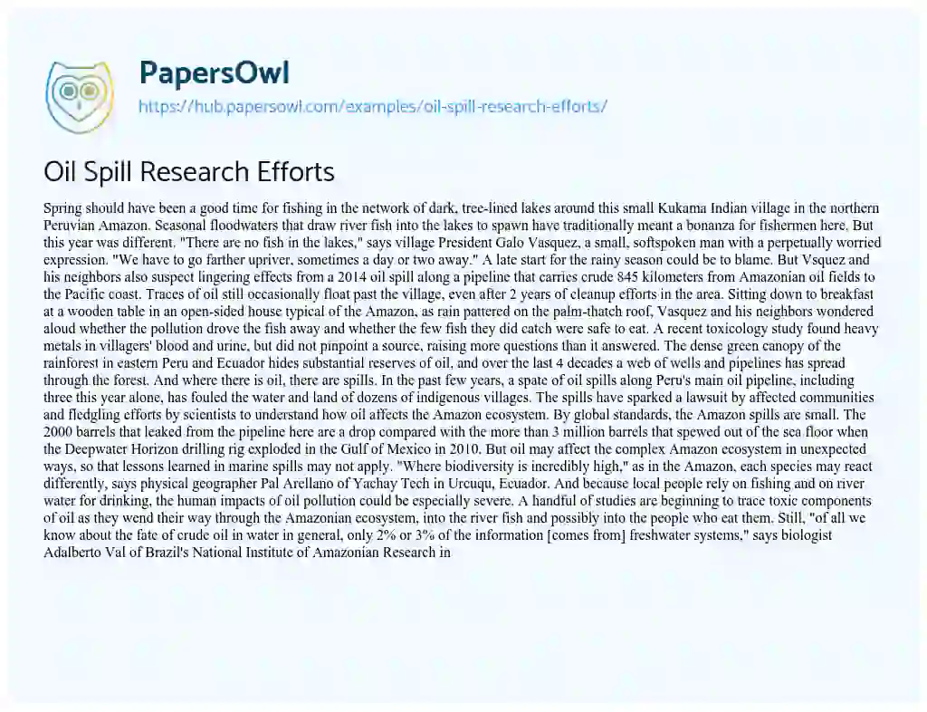 Essay on Oil Spill Research Efforts