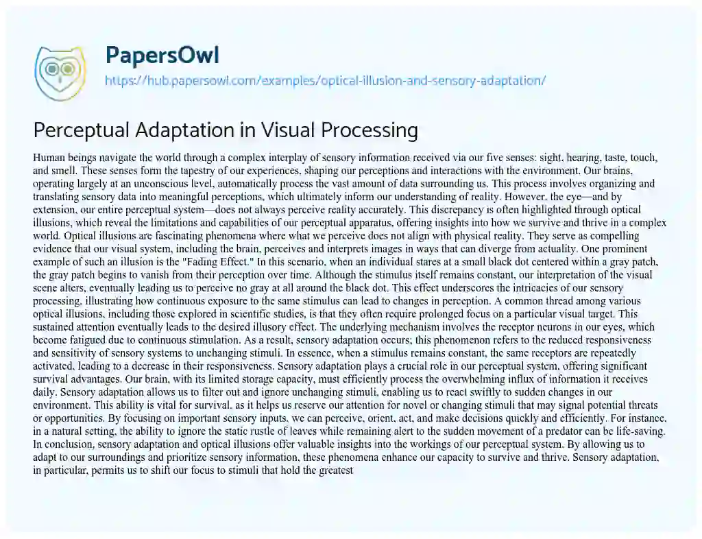 Essay on Perceptual Adaptation in Visual Processing