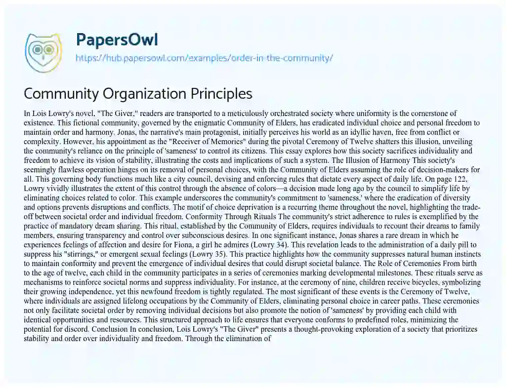 Essay on Community Organization Principles
