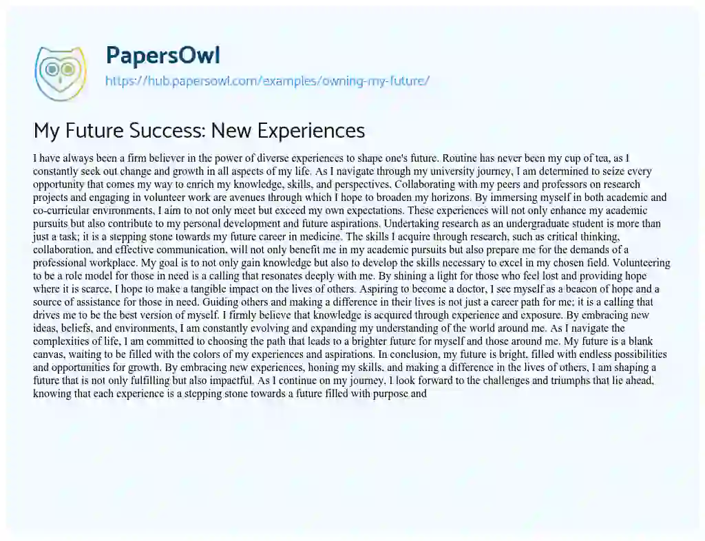 Essay on My Future Success: New Experiences