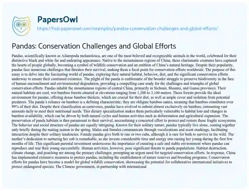 Essay on Pandas: Conservation Challenges and Global Efforts