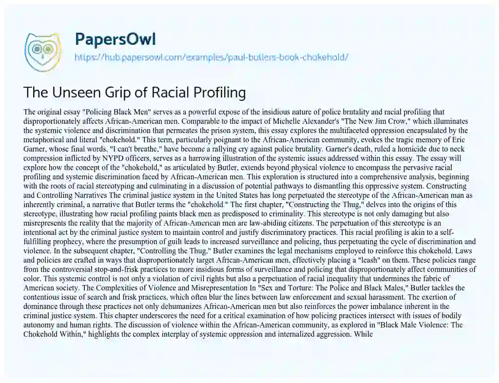 Essay on The Unseen Grip of Racial Profiling
