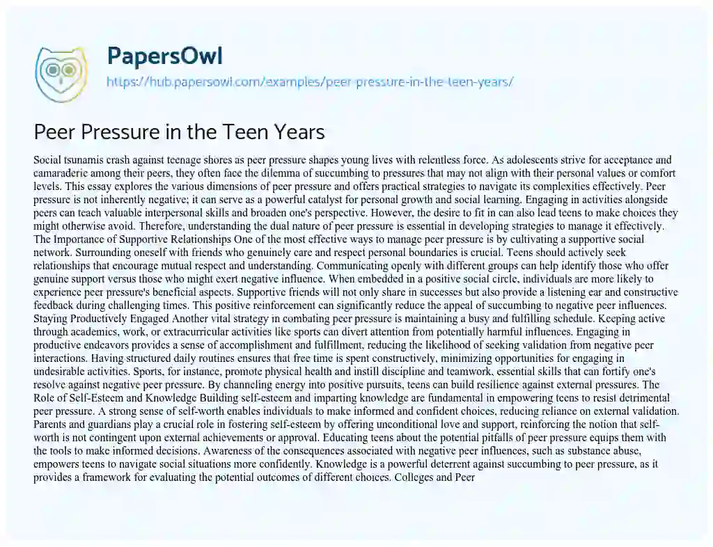 Essay on Peer Pressure in the Teen Years