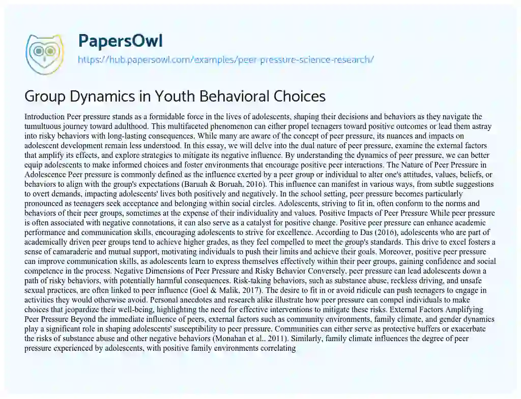 Essay on Group Dynamics in Youth Behavioral Choices