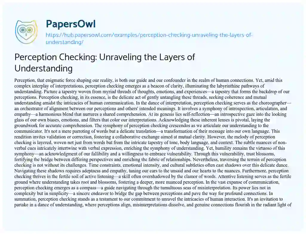 Essay on Perception Checking: Unraveling the Layers of Understanding
