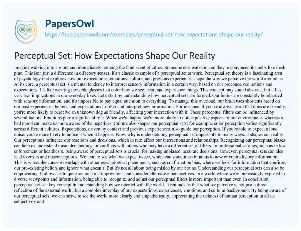 Essay on Perceptual Set: How Expectations Shape Our Reality
