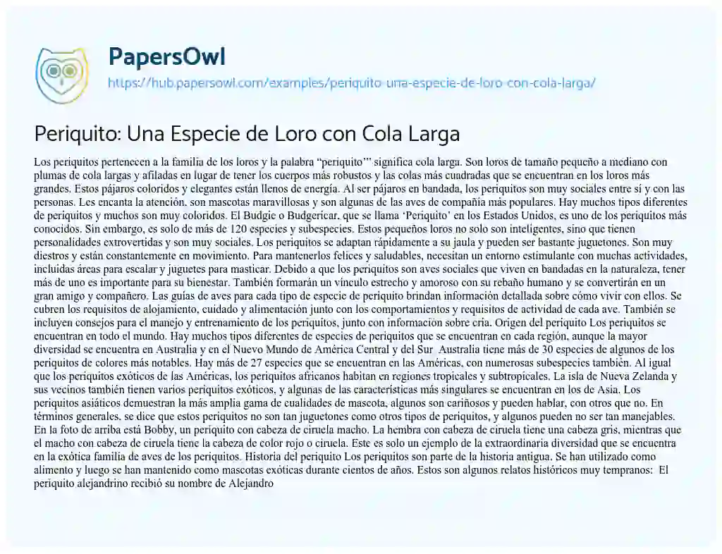 Essay on Periquito: Una Especie de Loro con Cola Larga