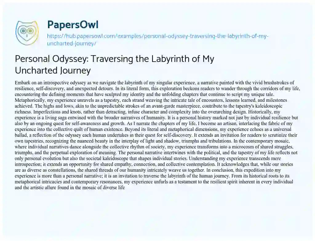 Essay on Personal Odyssey: Traversing the Labyrinth of My Uncharted Journey