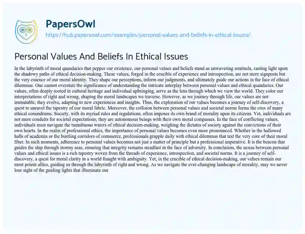 Essay on Personal Values And Beliefs In Ethical Issues