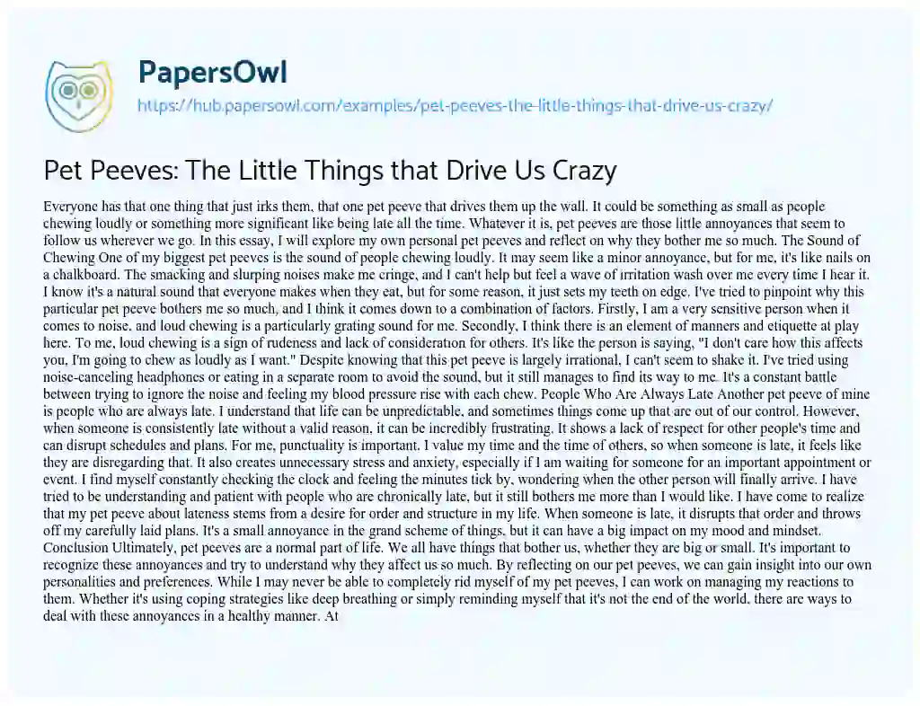 Essay on Pet Peeves: The Little Things that Drive Us Crazy