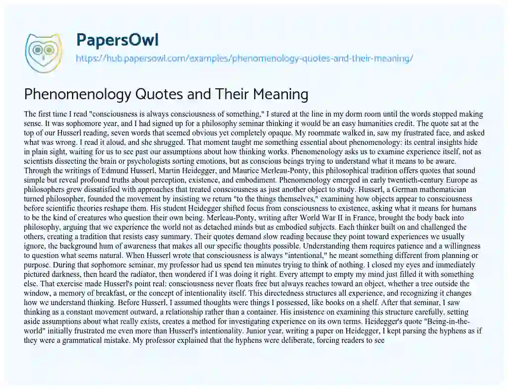Essay on Phenomenology Quotes and Their Meaning