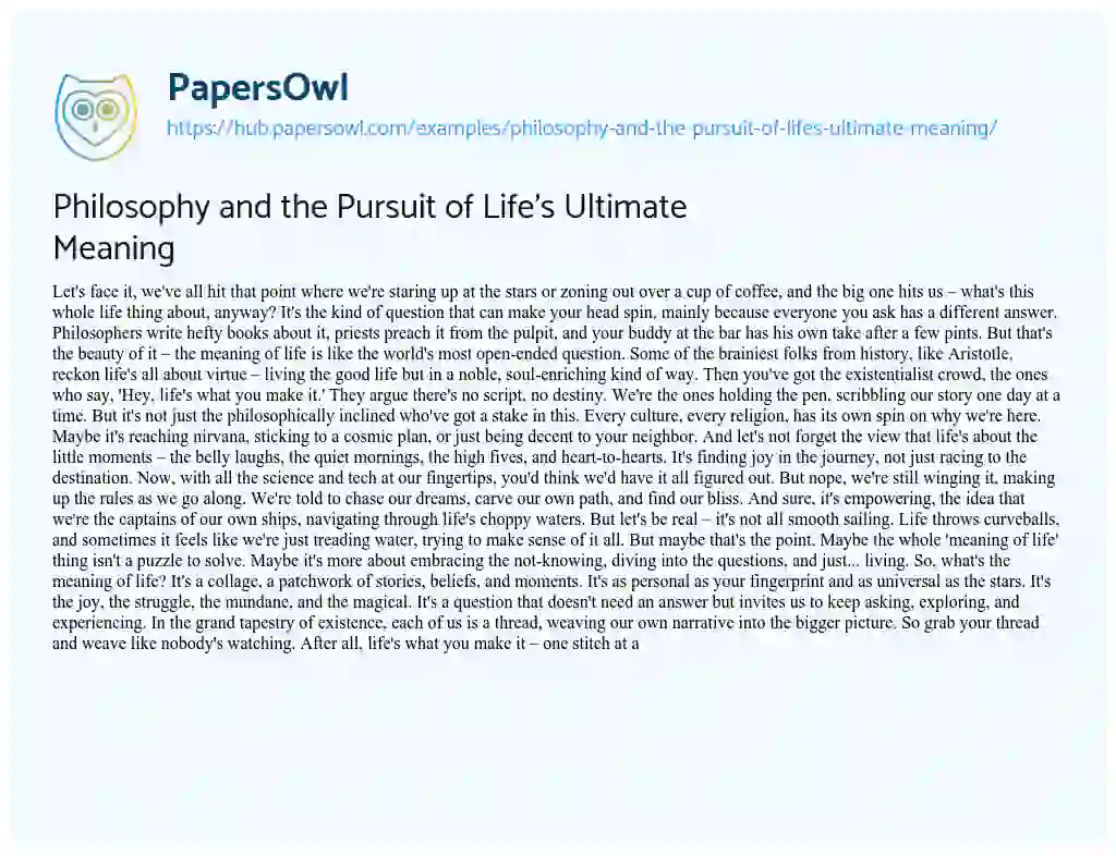 Essay on Philosophy and the Pursuit of Life’s Ultimate Meaning